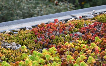 the cost of St Marks green roof installation